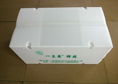 Collapsible Plastic Boxes With Air Circulating Holes For Transporting Vegetables